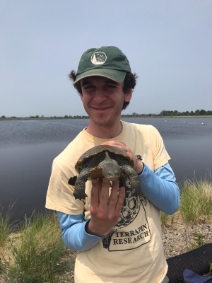 saf-intern-with-turtle